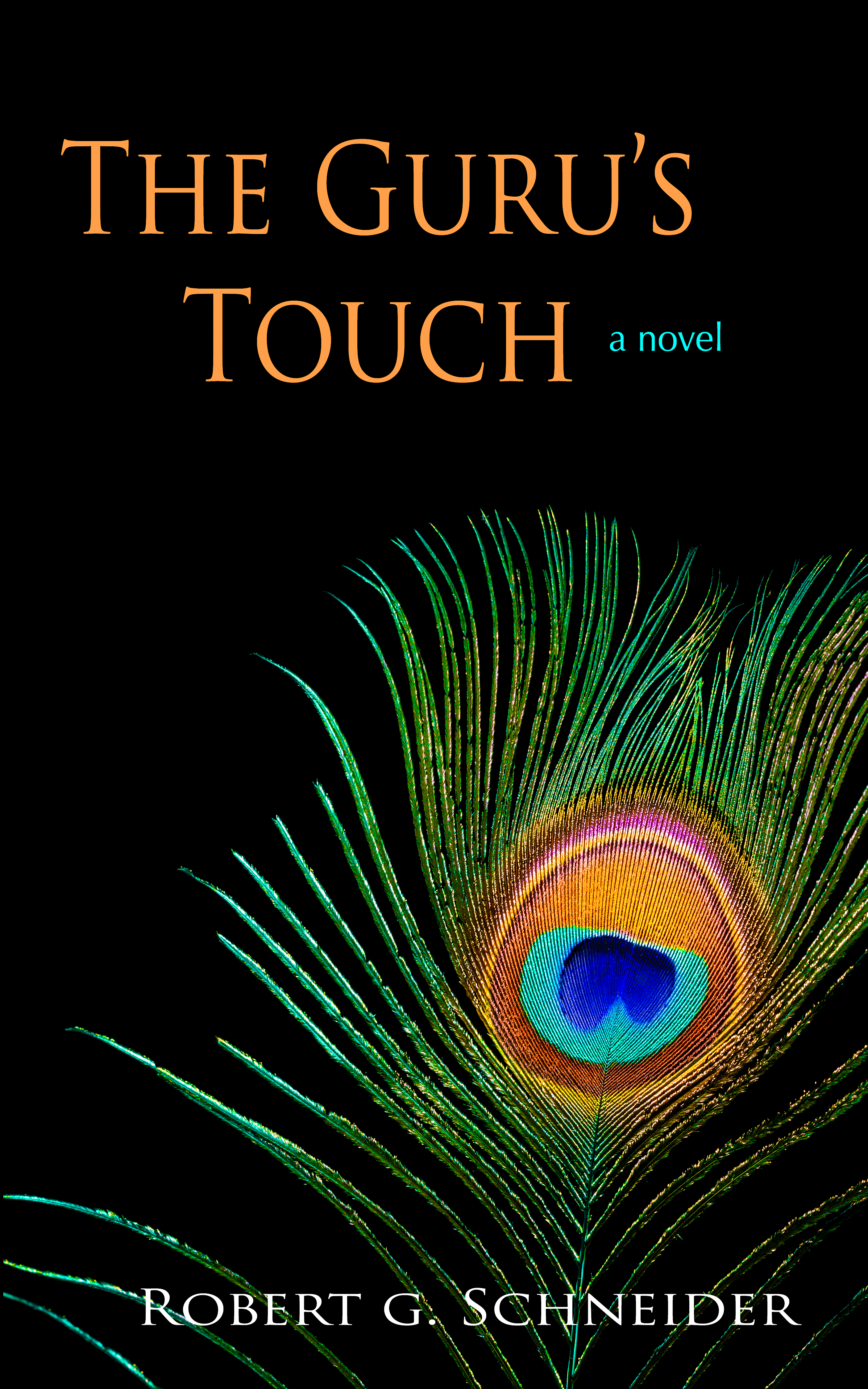 The Guru's Touch: a novel